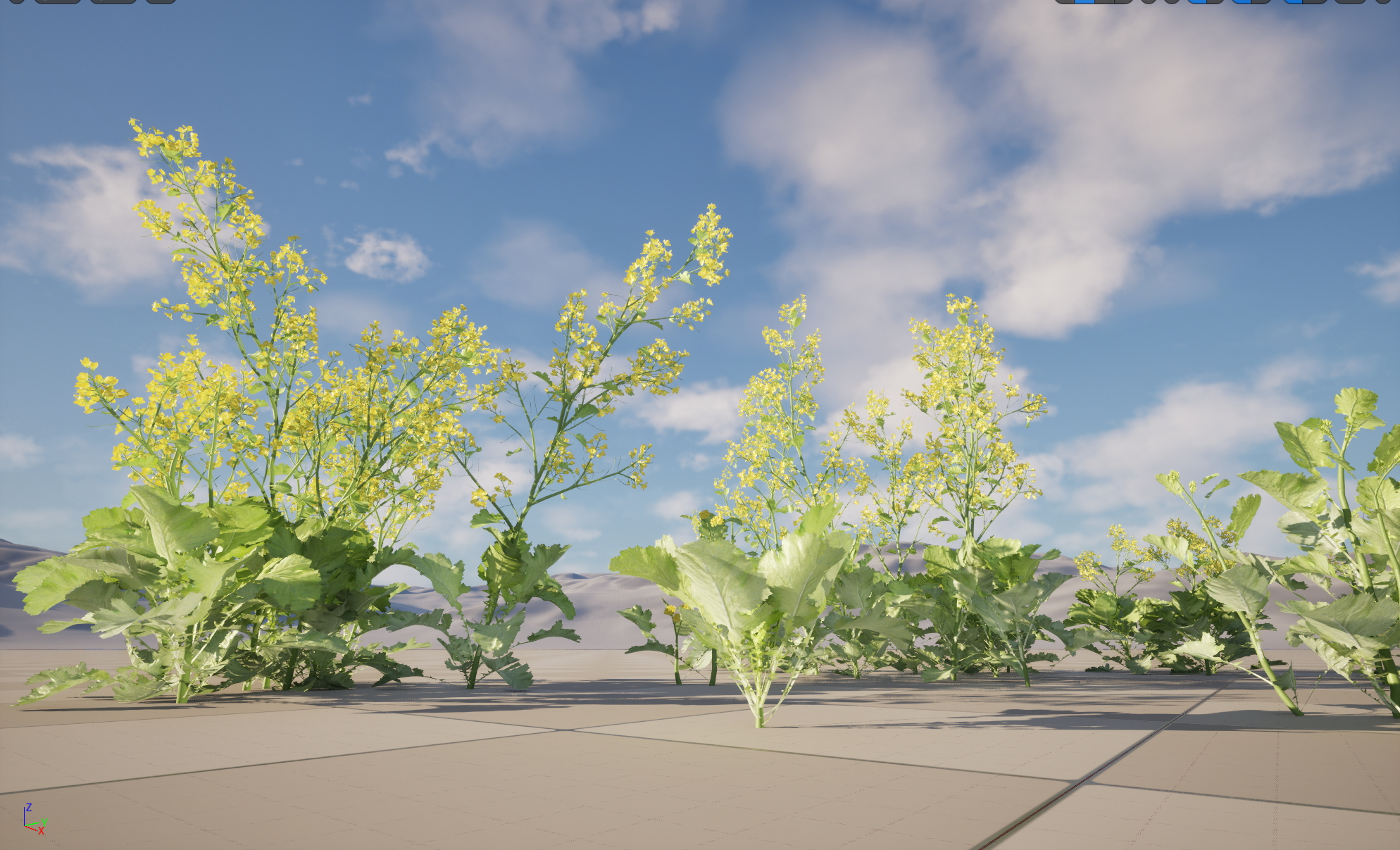 UE5 Nanite Plant Vegetation - Brassica juncea - Chinese Mustard