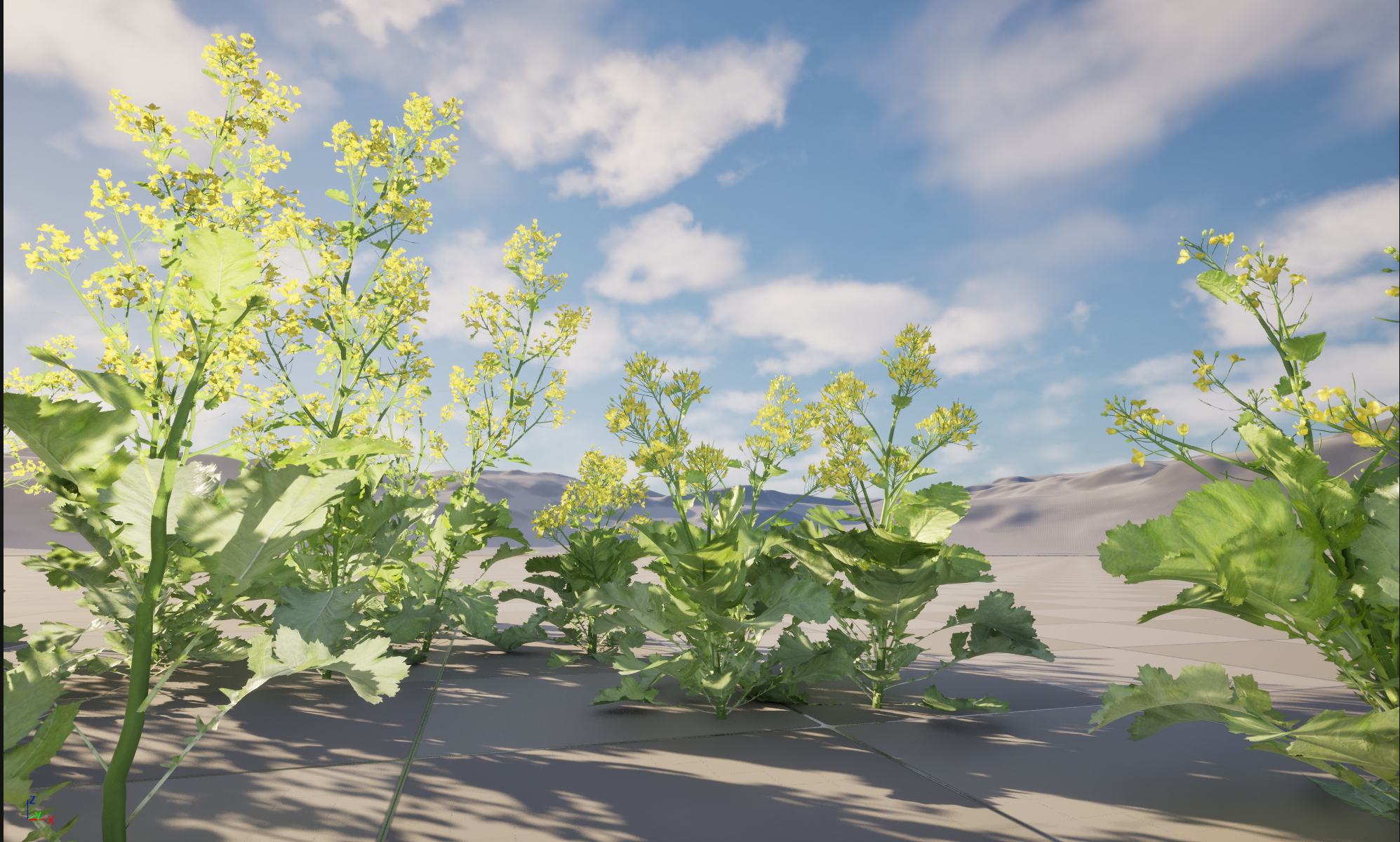 UE5 Nanite Plant Vegetation - Brassica juncea - Chinese Mustard - Image 2