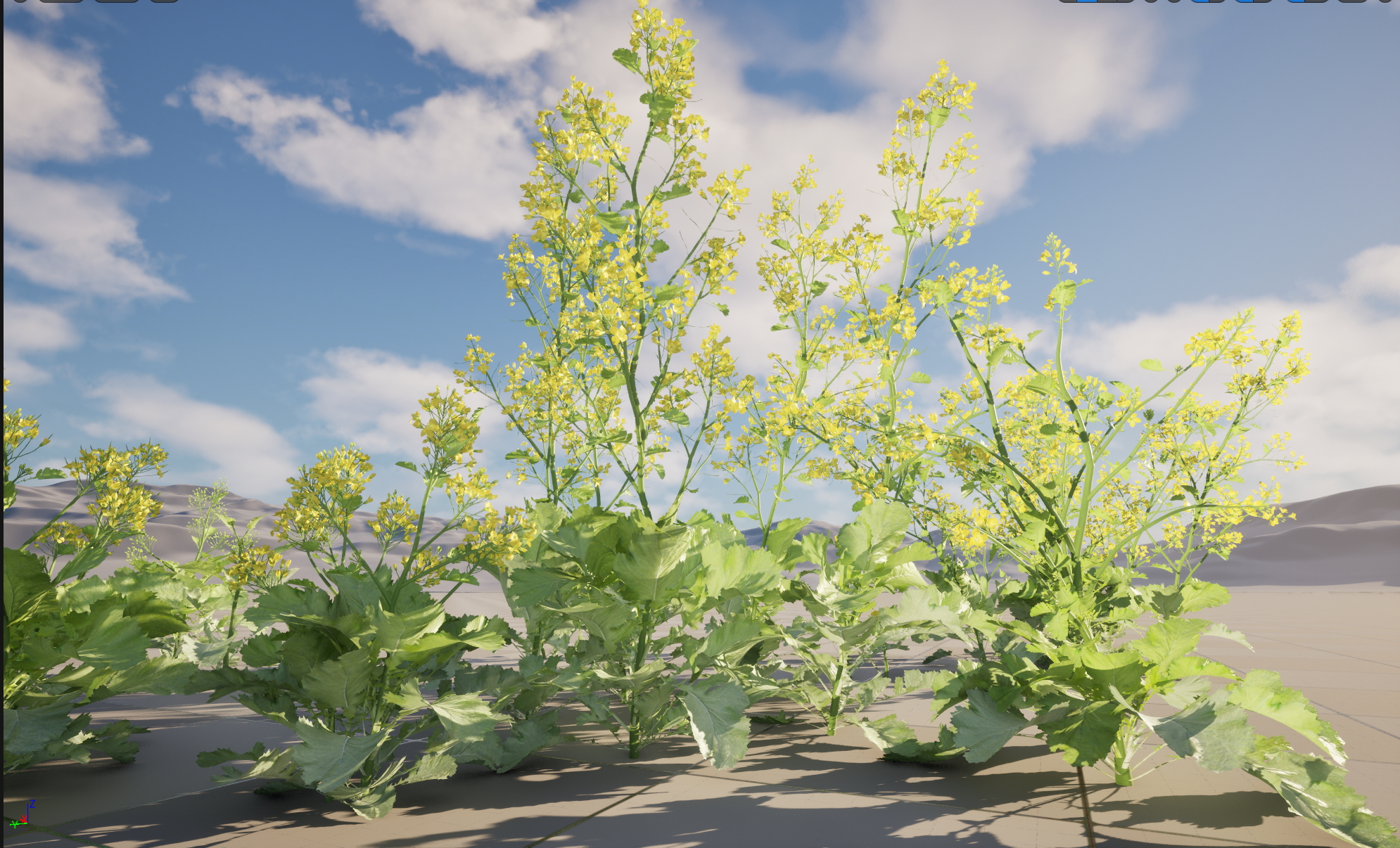 UE5 Nanite Plant Vegetation - Brassica juncea - Chinese Mustard - Image 4