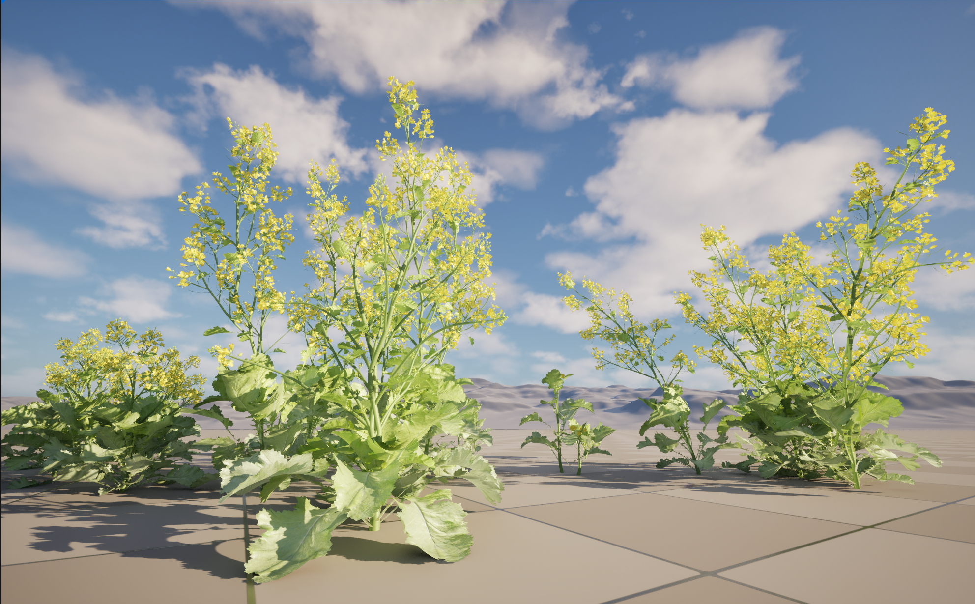 UE5 Nanite Plant Vegetation - Brassica juncea - Chinese Mustard - Image 3