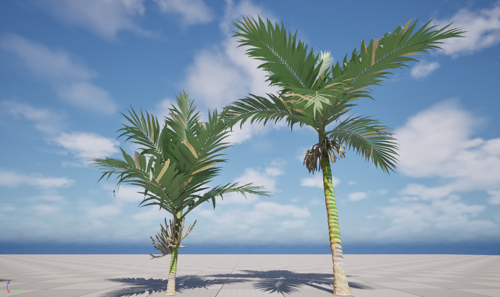 UE5 Wind Plants - Burretiokentia hapala - Dreadlock Palm - Image 5