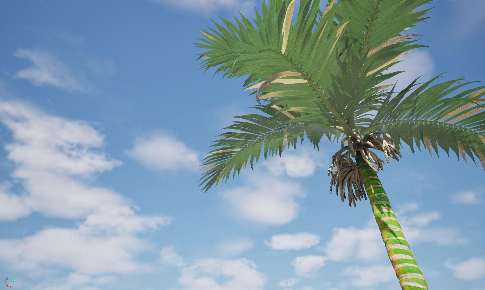 UE5 Wind Plants - Burretiokentia hapala - Dreadlock Palm - Image 3