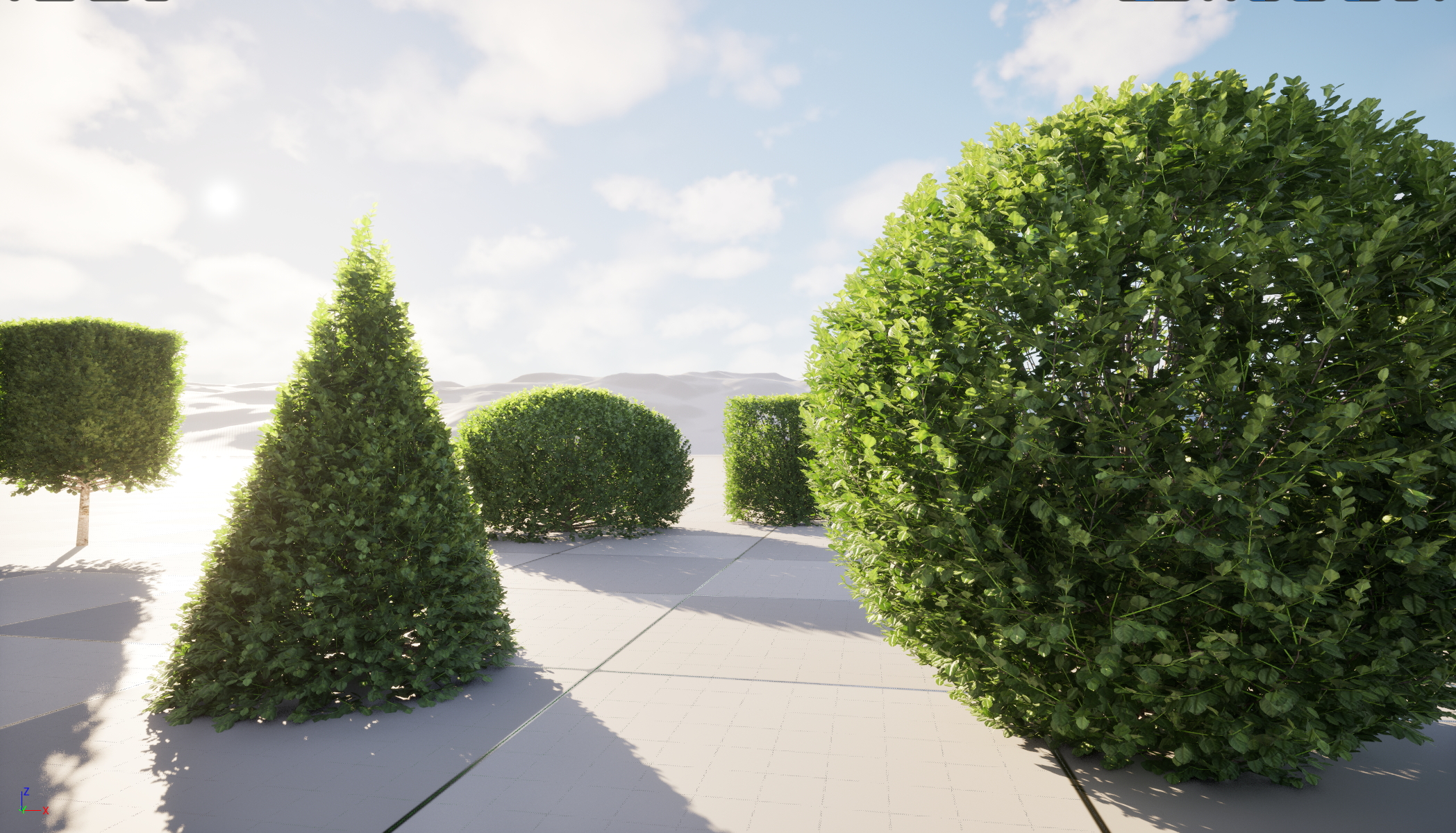 UE5 Nanite Plants - Buxus sempervirens – Common boxwood - Image 5