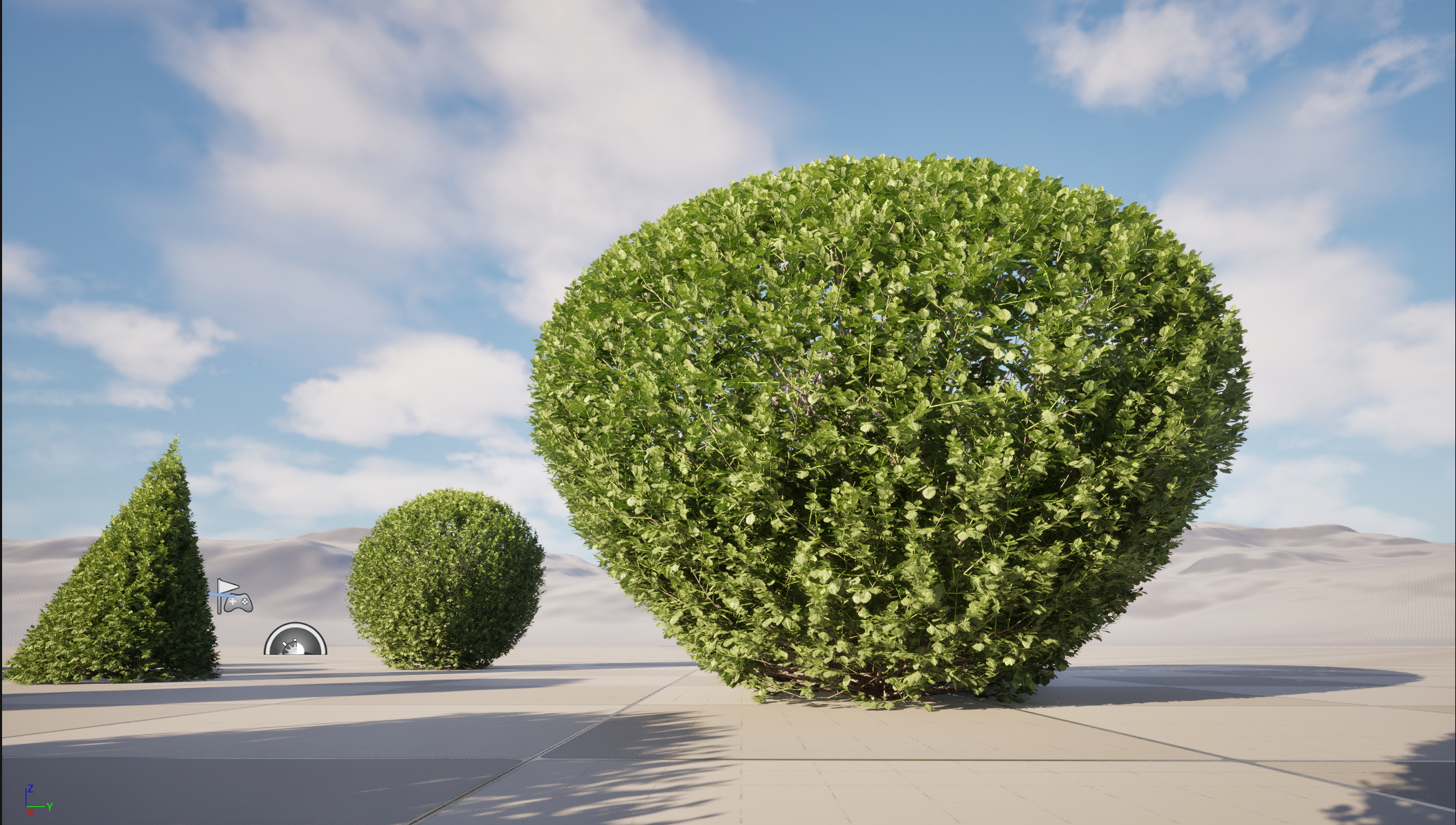 UE5 Nanite Plants - Buxus sempervirens – Common boxwood - Image 4