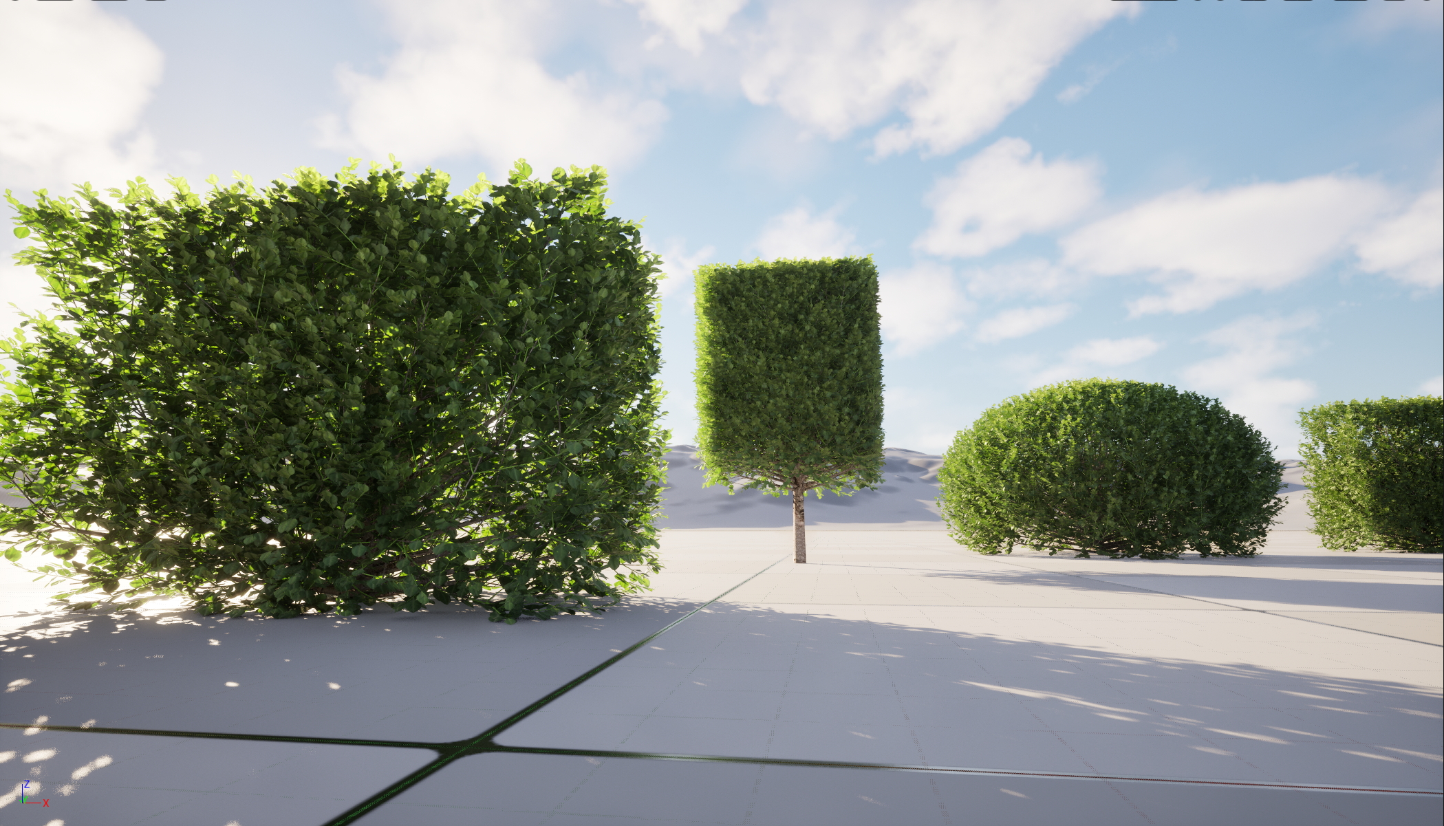 UE5 Nanite Plants - Buxus sempervirens – Common boxwood - Image 3