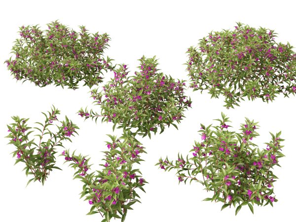 Aquatic & Wetland Plants Pack 45 - Image 7