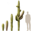 Carnegiea gigantea - Giant Saguaro 3D Model - Image 12