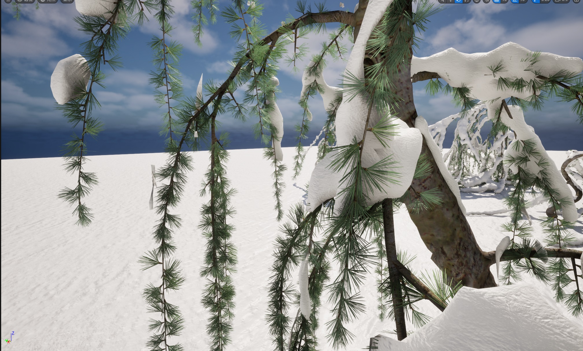 Winter Snow Plants - Cedrus atlantica Glauca Pendula – Atlas cedar - Image 3
