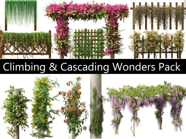Climbing & Cascading Wonders Pack 32