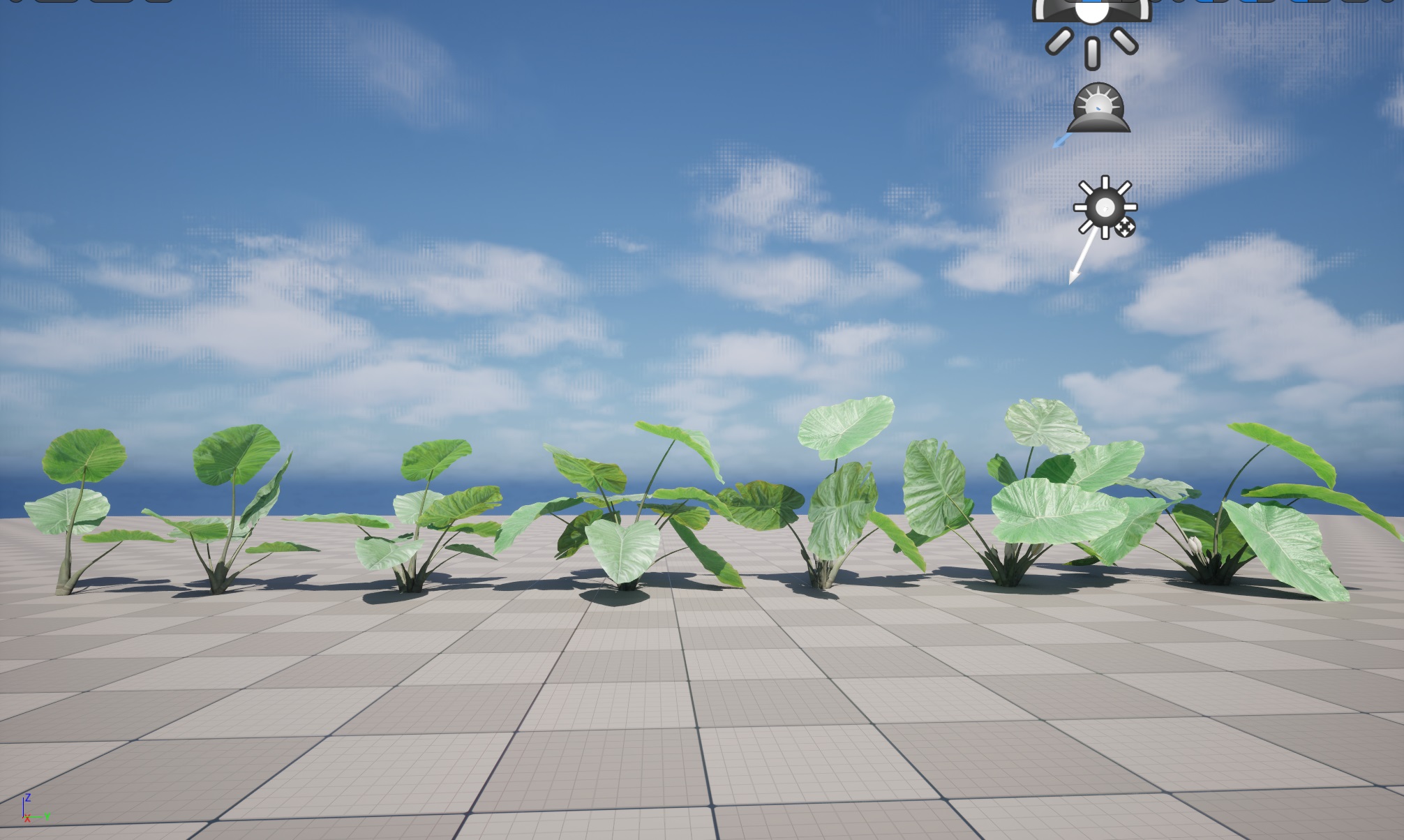 Colocasia gigantea - Giant Elephant Ear - Image 13