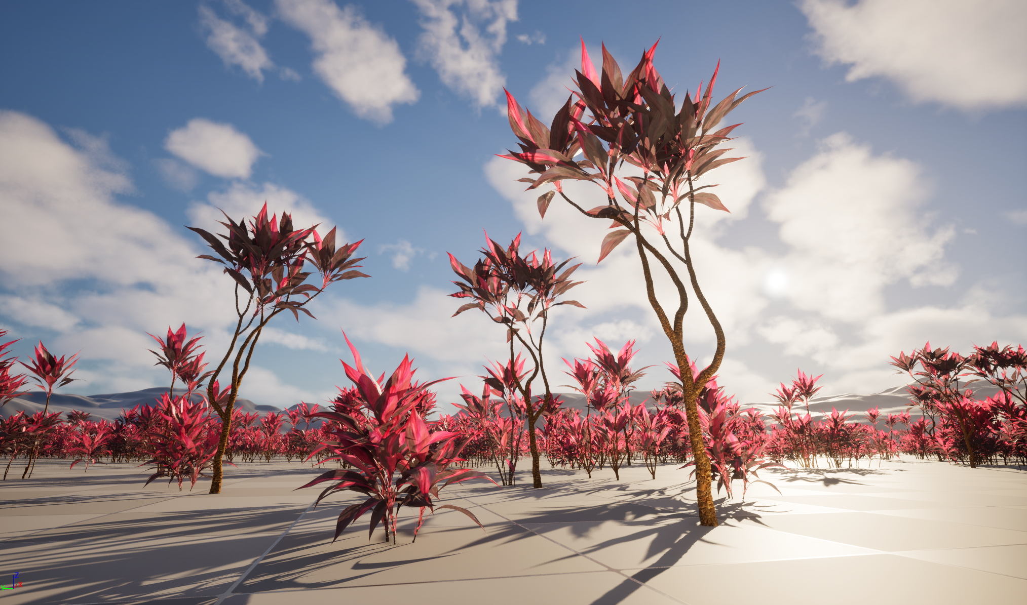 UE5 Wind Plants - Cordyline rubra - palm lily (Nanite+Masked material)