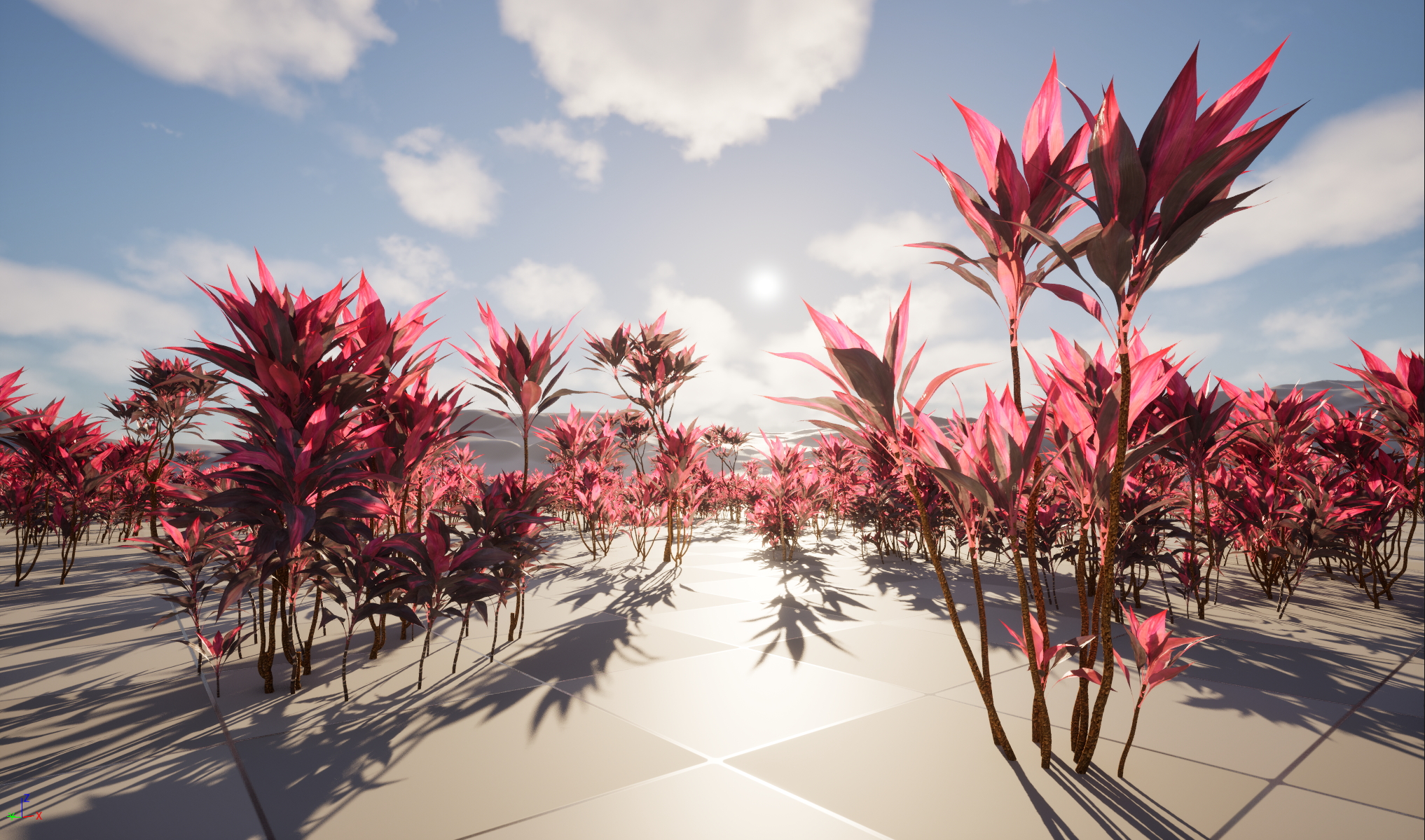 UE5 Wind Plants - Cordyline rubra - palm lily (Nanite+Masked material) - Image 2