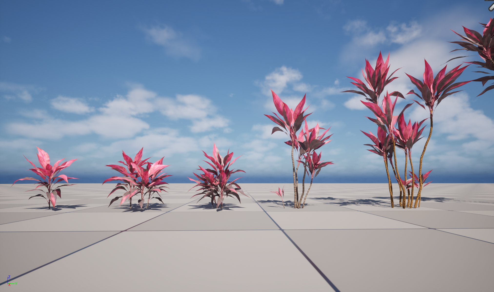 UE5 Wind Plants - Cordyline rubra - palm lily (Nanite+Masked material) - Image 9
