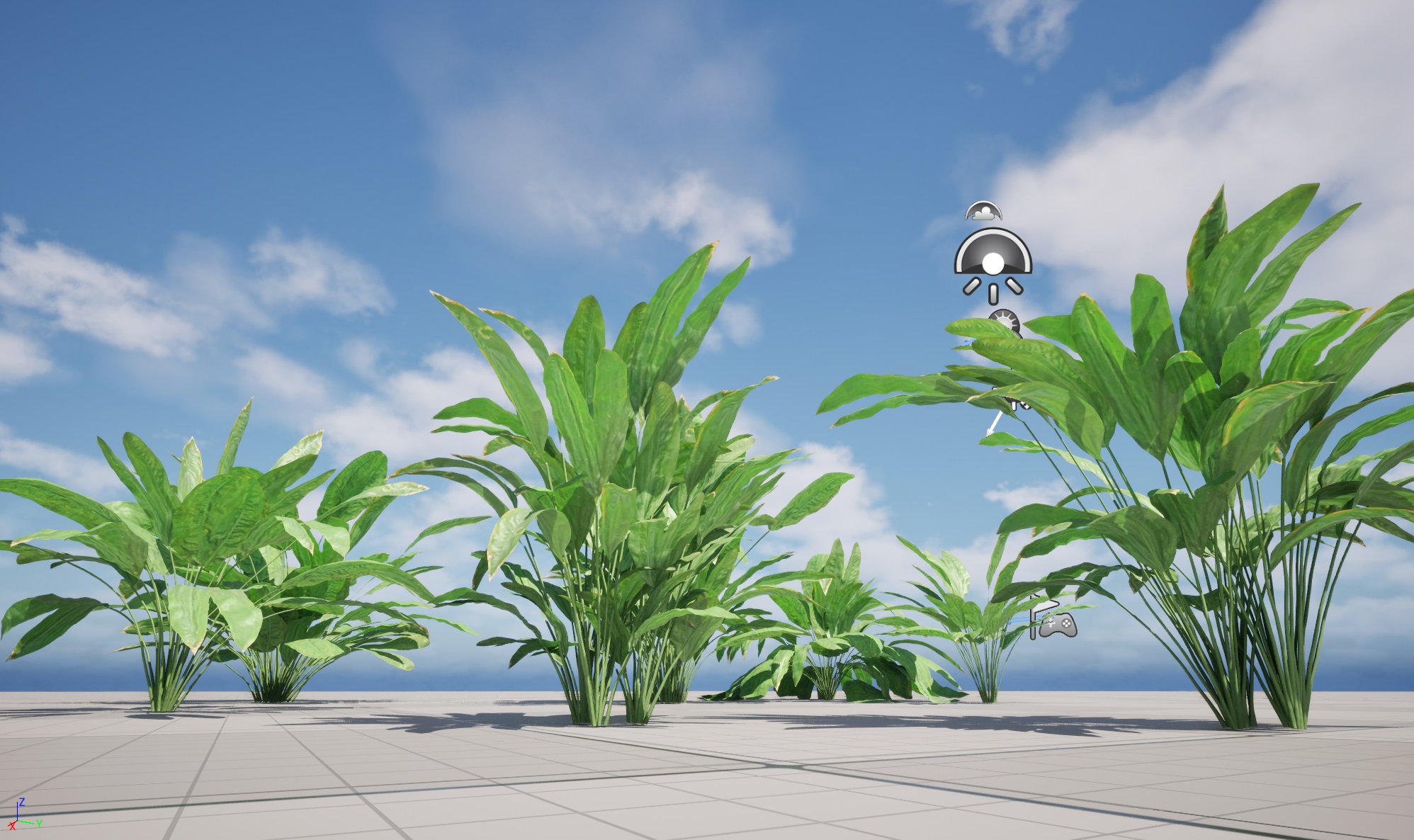 UE5 Wind Plants - Cyclanthus bipartitus - Split-leafed Cyclanthus