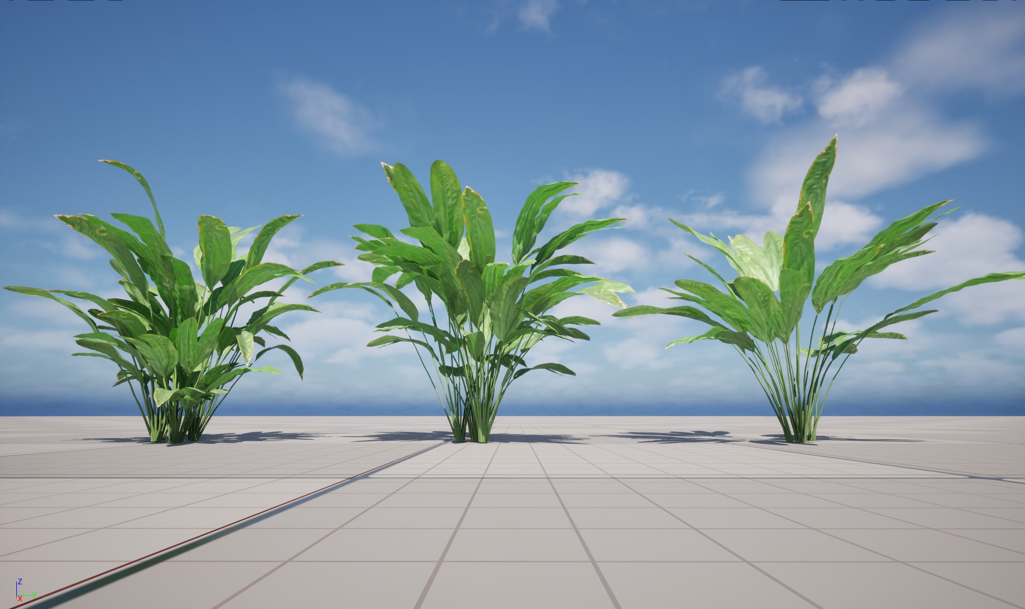 UE5 Wind Plants - Cyclanthus bipartitus - Split-leafed Cyclanthus - Image 6