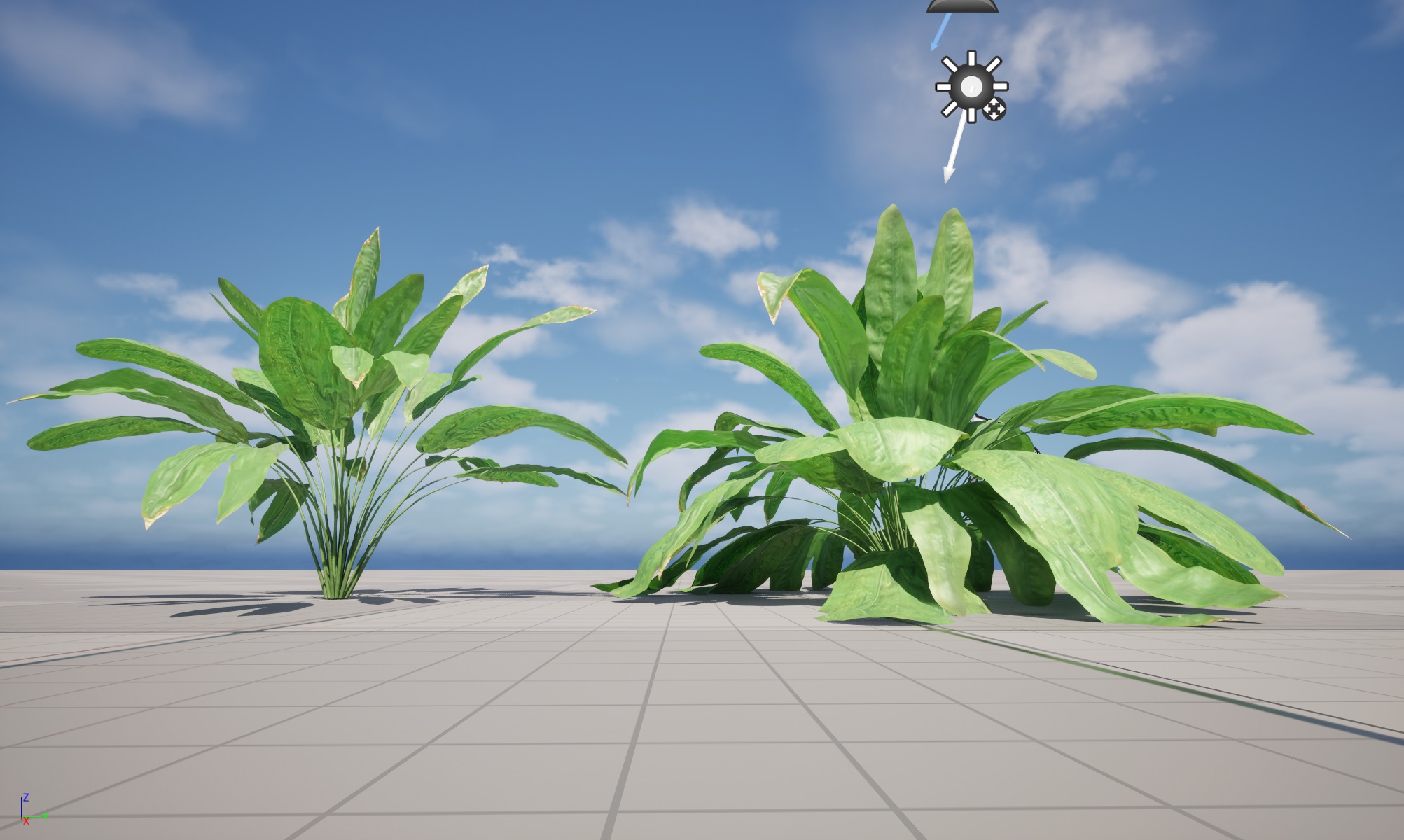 UE5 Wind Plants - Cyclanthus bipartitus - Split-leafed Cyclanthus - Image 5