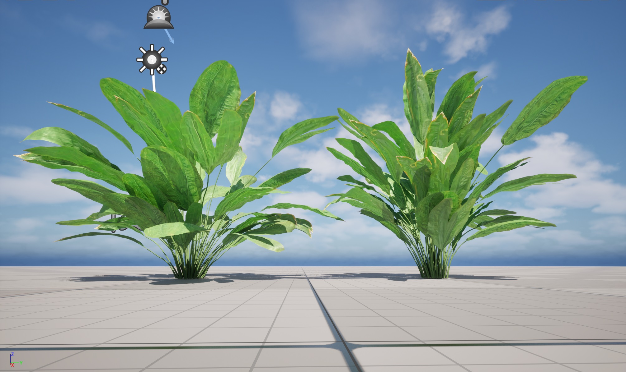 UE5 Wind Plants - Cyclanthus bipartitus - Split-leafed Cyclanthus - Image 4