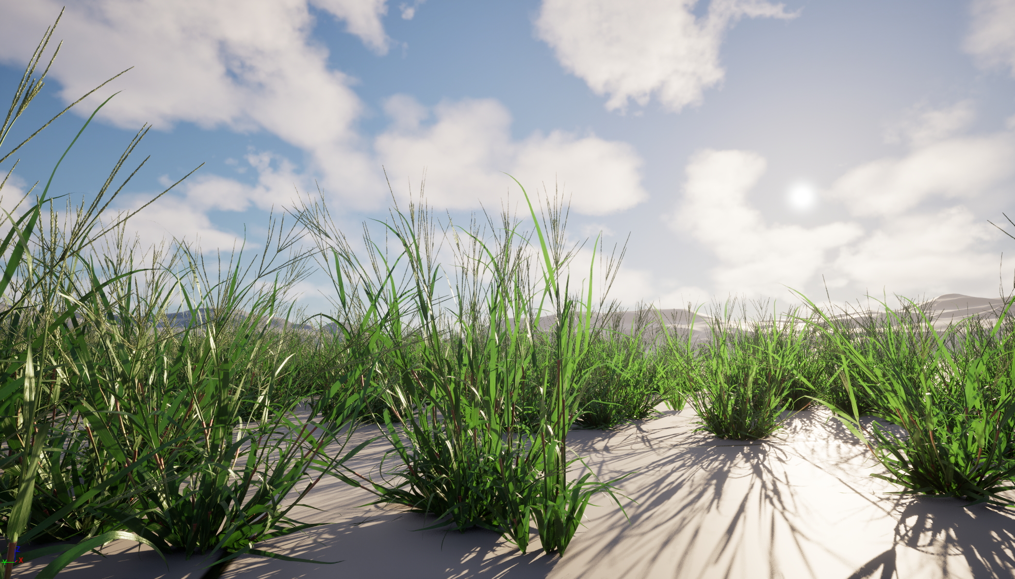 UE5 Nanite Wind Plants - Digitaria ciliaris – Fingergrass