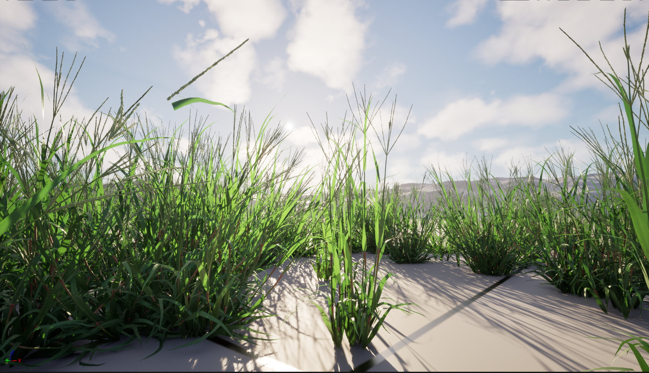 UE5 Nanite Wind Plants - Digitaria ciliaris – Fingergrass - Image 2