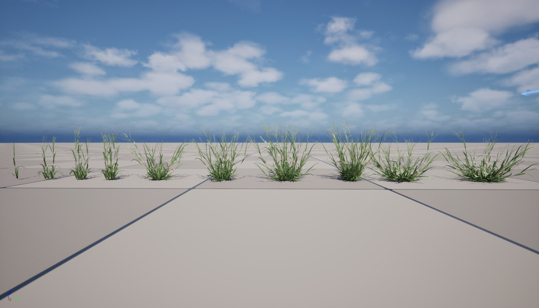 UE5 Nanite Wind Plants - Digitaria ciliaris – Fingergrass - Image 5