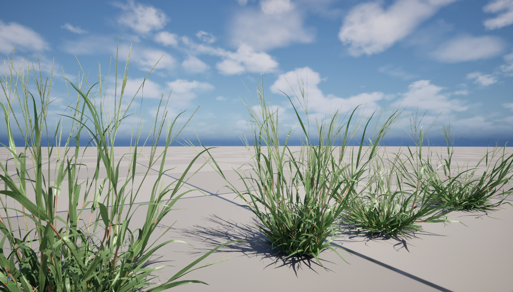UE5 Nanite Wind Plants - Digitaria ciliaris – Fingergrass - Image 4