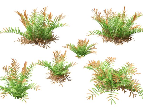 Aquatic & Wetland Plants Pack 45 - Image 2