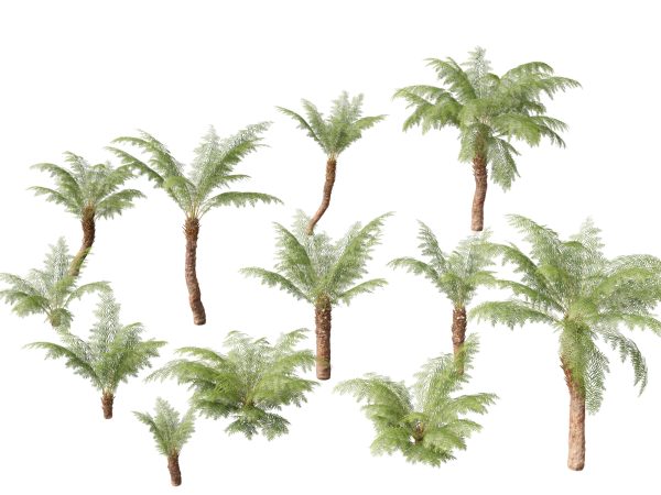Exotic Tropical Greenery Pack 36 - Image 10
