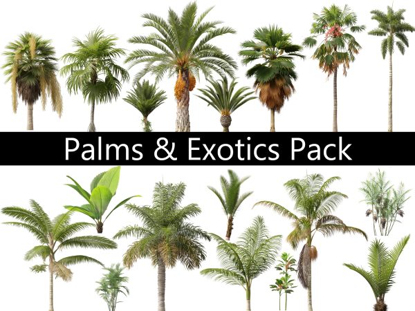 Palms & Exotics Pack 25