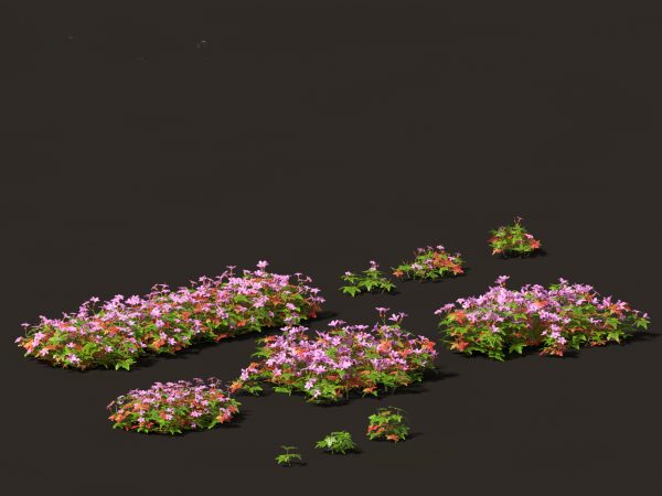 Flowering Perennials & Herbs Pack 42 - Image 10