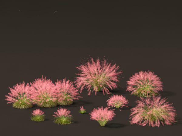 Decorative Ornamental Grasses Pack 29 - Image 12