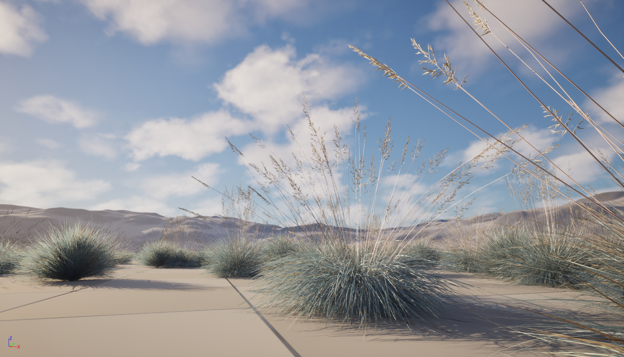 UE5 Nanite Wind Plants - Festuca glauca – Blue fescue - Image 2