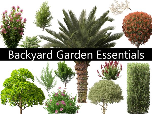 Backyard Garden Essentials Pack 18