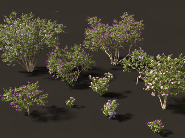 Tropical & Exotic Foliage Pack 49 - Image 24