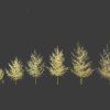 Ginkgo Biloba – Maidenhair Tree 20 3D Model - Image 2