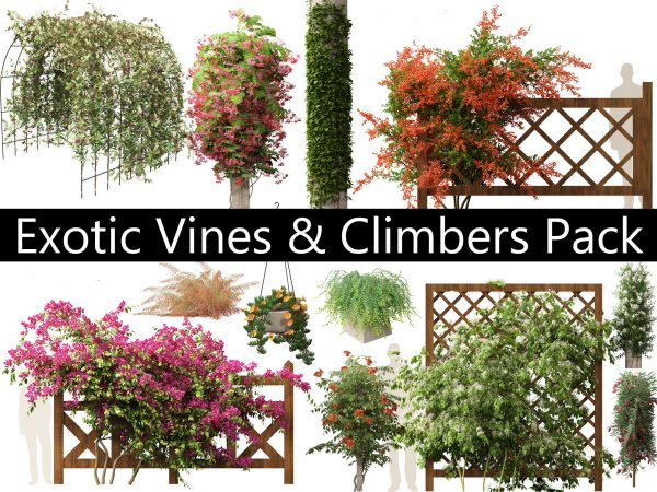 Exotic Vines & Climbers Pack 37