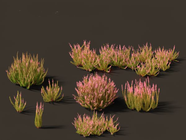 Flowering Garden Shrubs Pack 47 - Image 11