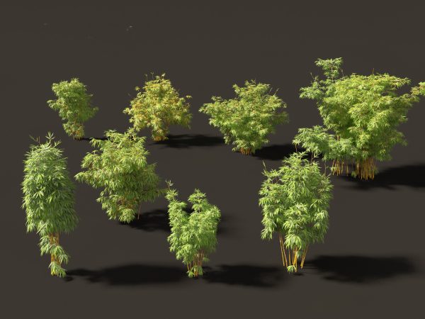 Elegant Bamboo & Grasses Pack 33 - Image 7