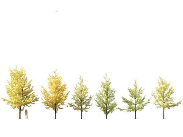 Autumn Colors Collection Pack 06 - Image 9