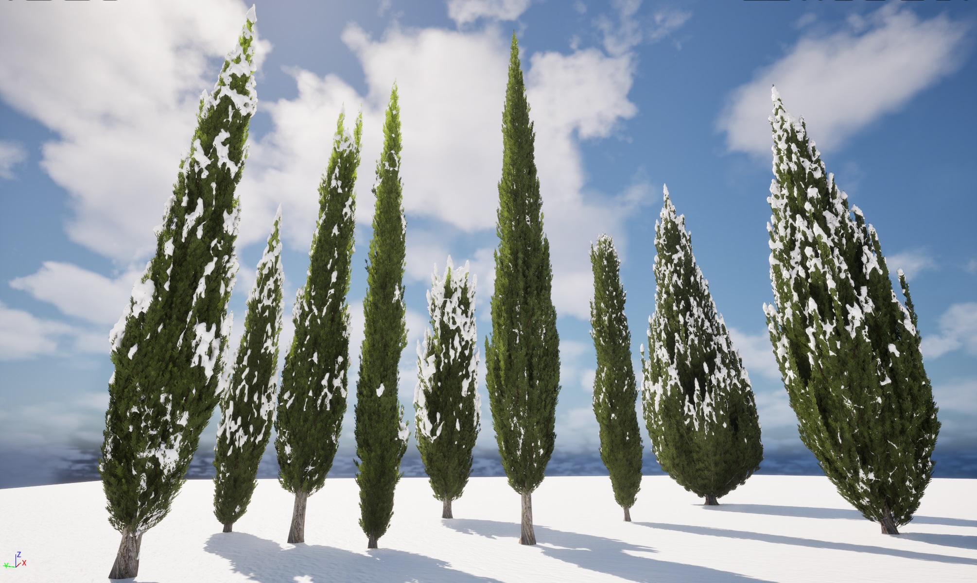 Winter Snow Forest Trees Pack 55 - Image 13