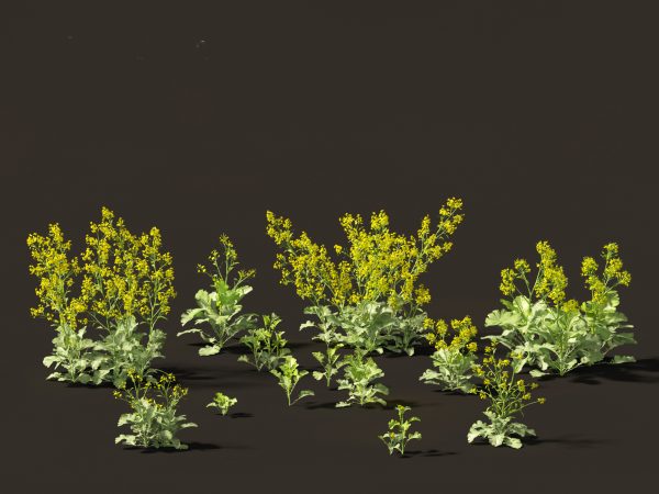 Edible Garden Plants Pack 28 - Image 4