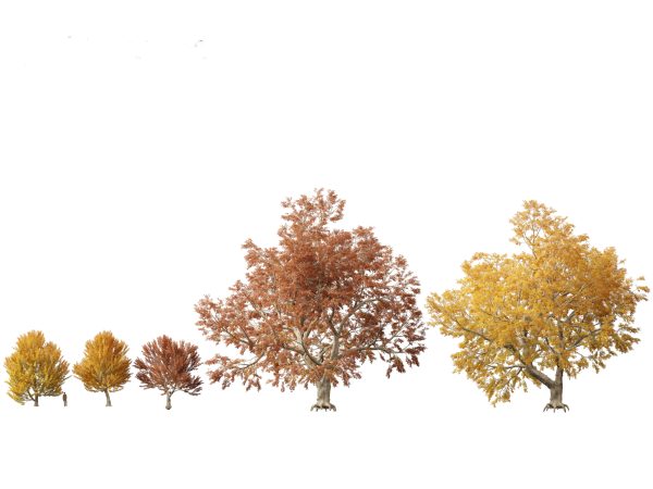 Autumn Colors Collection Pack 06 - Image 8