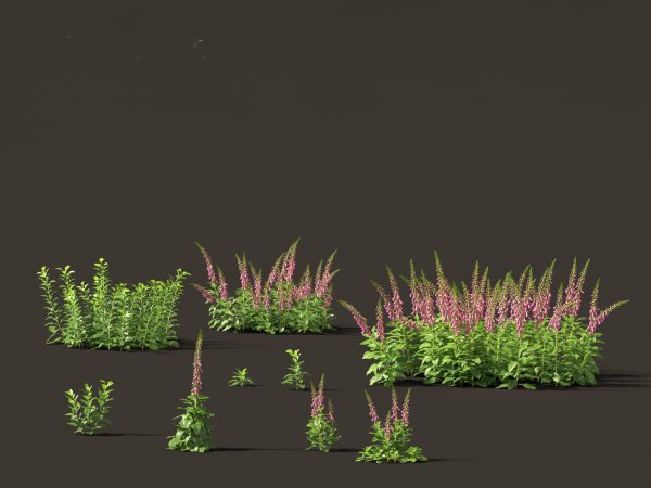 Groundcovers Pack 23 - Image 8