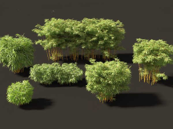 Elegant Bamboo & Grasses Pack 33 - Image 5