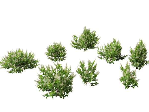 Aquatic & Wetland Plants Pack 45 - Image 3