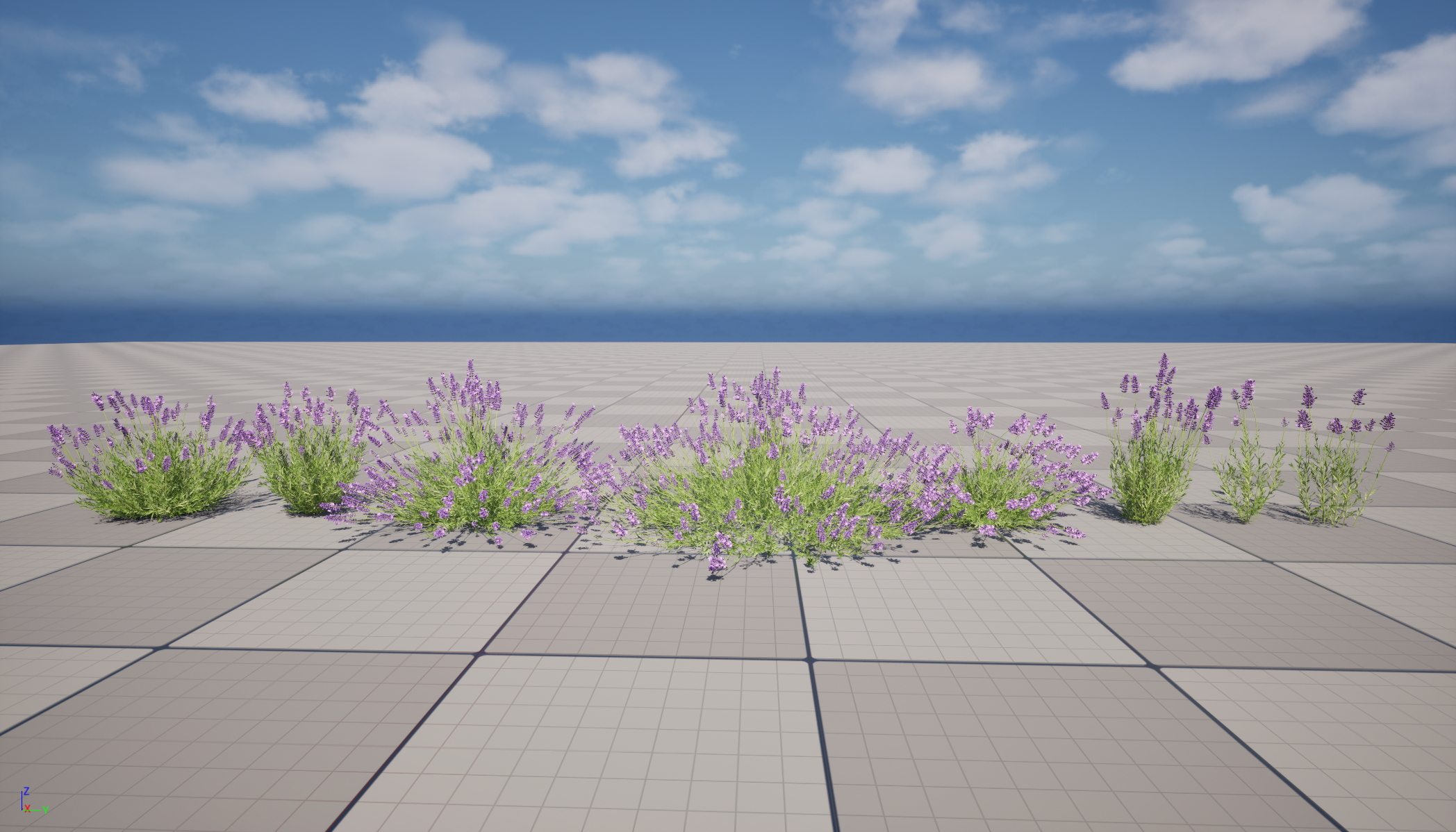 UE5 Wind Plants - Lavandula angustifolia – English lavender (Nanite+Masked material) - Image 2