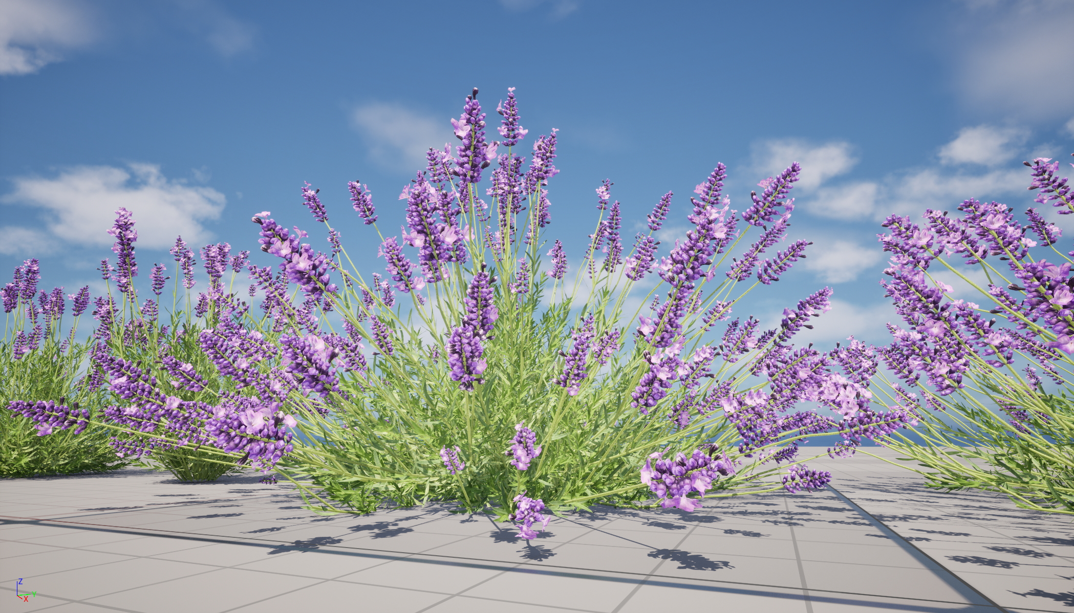 UE5 Wind Plants - Lavandula angustifolia – English lavender (Nanite+Masked material) - Image 12