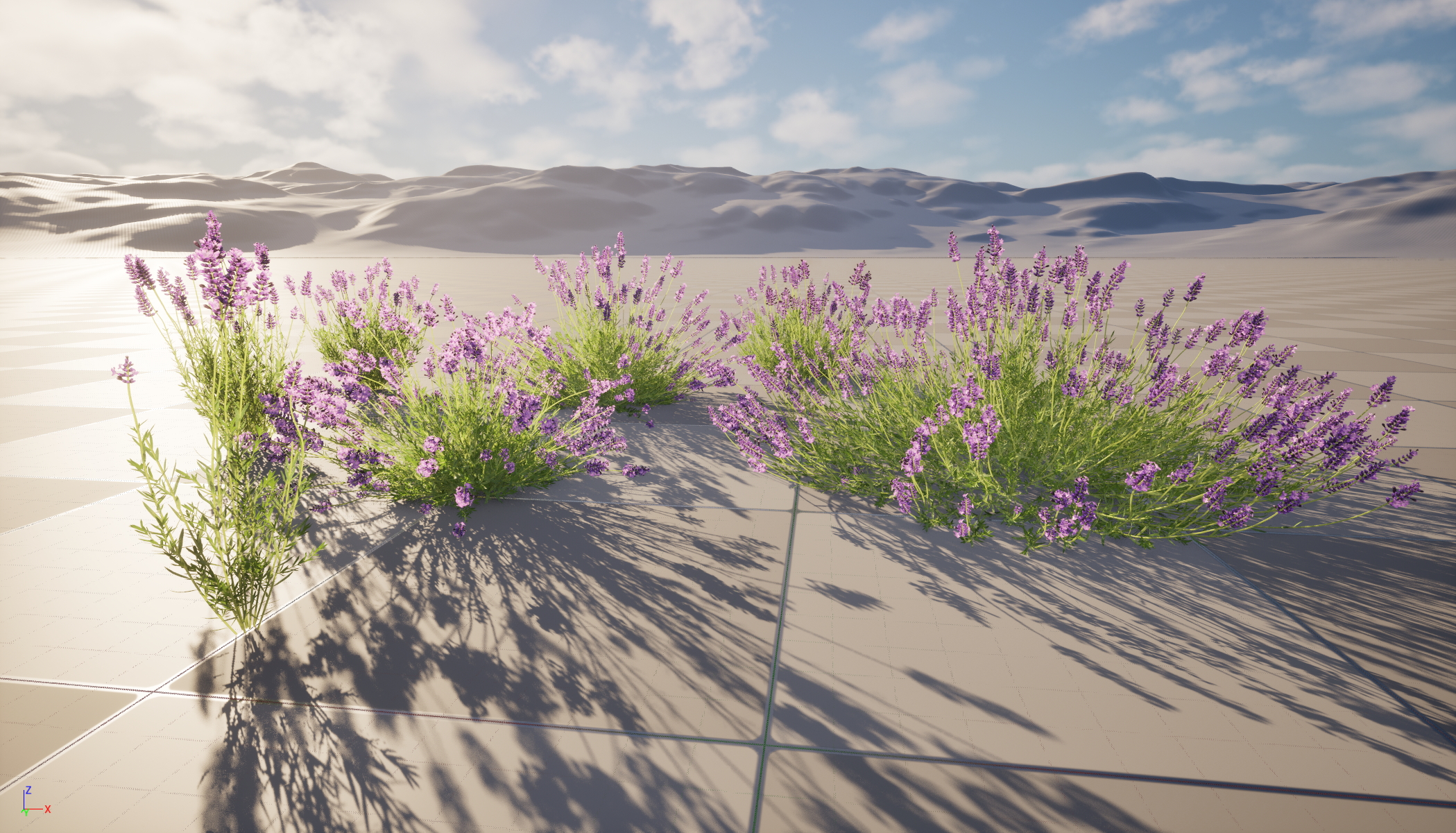 UE5 Wind Plants - Lavandula angustifolia – English lavender (Nanite+Masked material) - Image 11