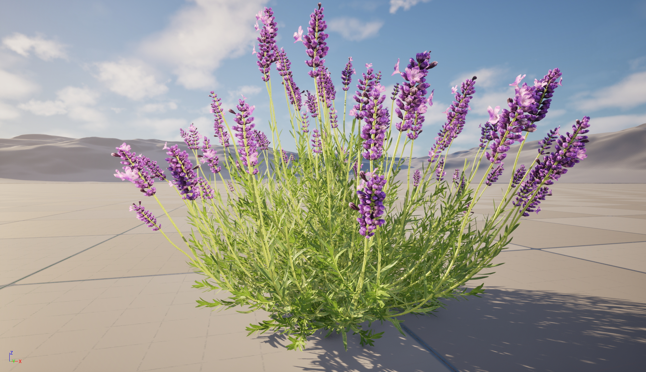 UE5 Wind Plants - Lavandula angustifolia – English lavender (Nanite+Masked material) - Image 10
