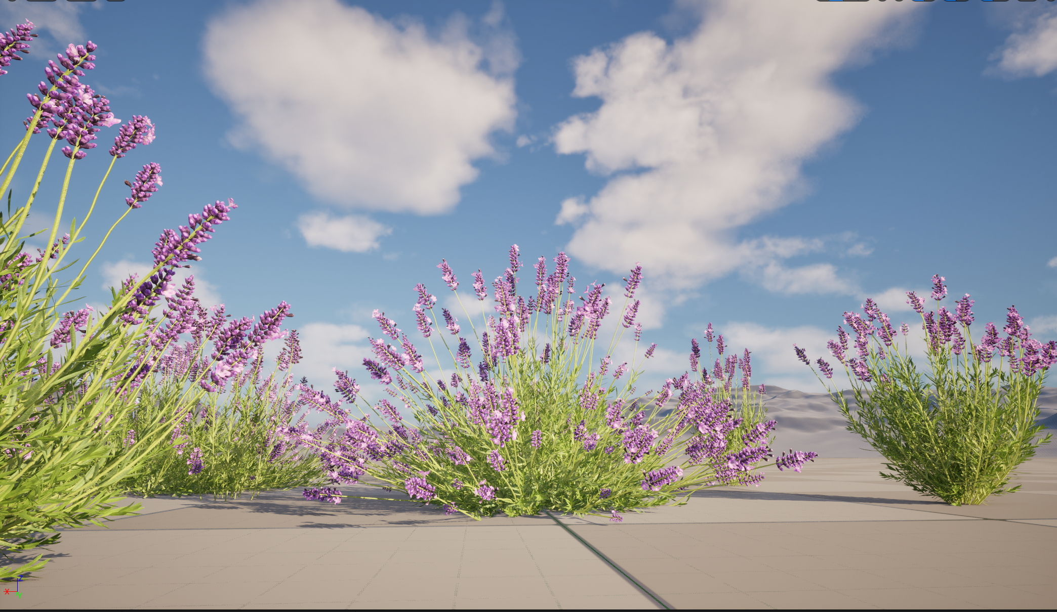 UE5 Wind Plants - Lavandula angustifolia – English lavender (Nanite+Masked material) - Image 9