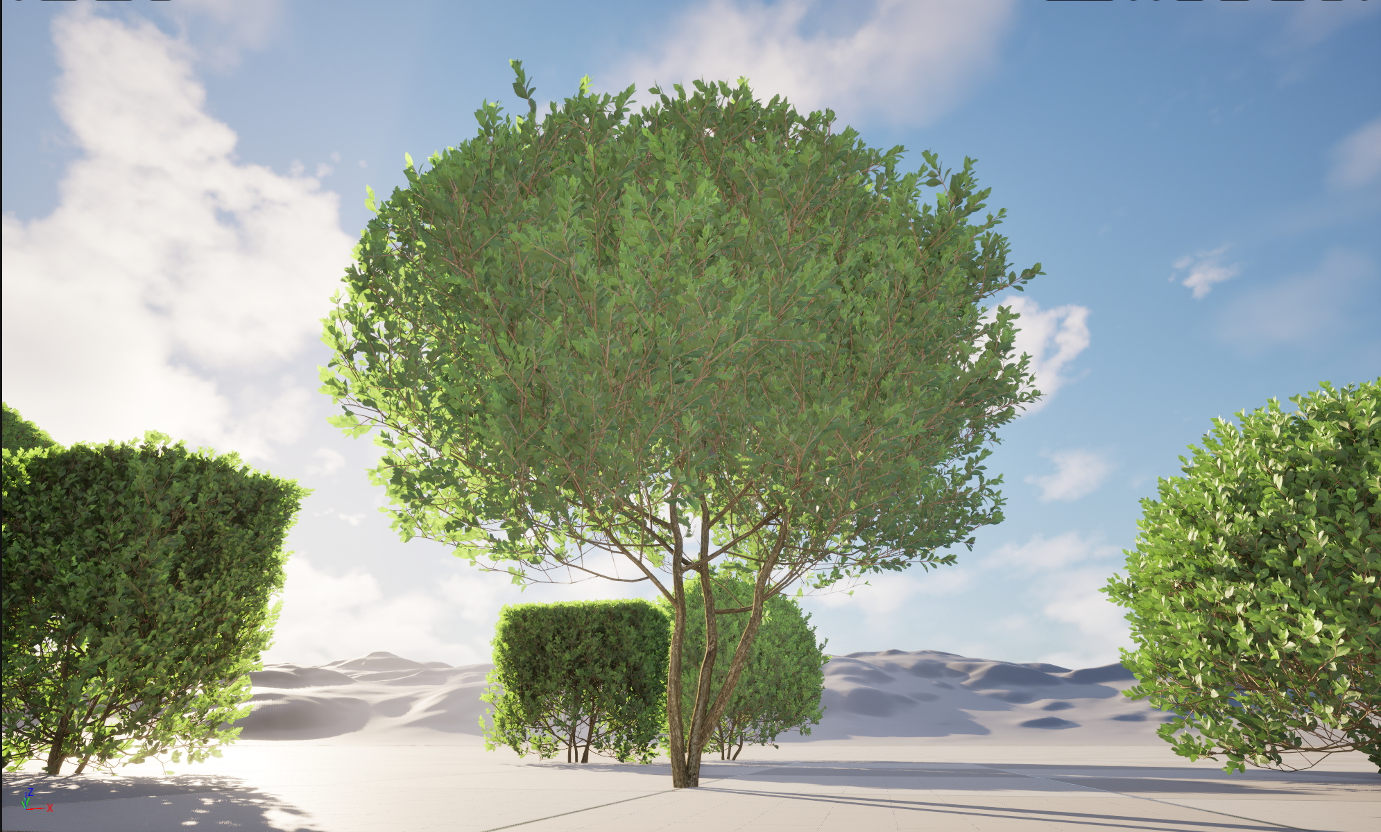 UE5 Nanite Plant Hedge - Ligustrum ovalifolium - California privet - Image 4